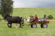 Smrhovská brázda 2010