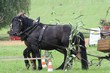 Smrhovská brázda 2010