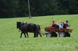 Smrhovská brázda 2010