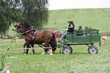 Smrhovská brázda 2010