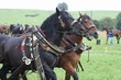 Smrhovská brázda 2010