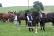 Smrhovská brázda 2010