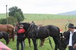 Smrhovská brázda 2010
