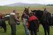 Smrhovská brázda 2010