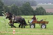 Smrhovská brázda 2010