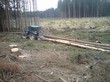 Práce v lese