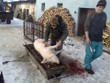 Zabijačka na statku 2011