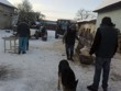 Zabijačka na statku 2011