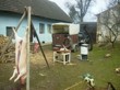 Tradiční zabijačka na rodinné ekofarmě Nalezený 2012