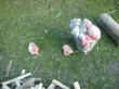 Tradiční zabijačka na rodinné ekofarmě Nalezený 2012