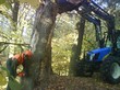 Práce v lese